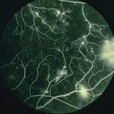 nature medicine current issue